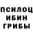 Галлюциногенные грибы прущие грибы X6 mita