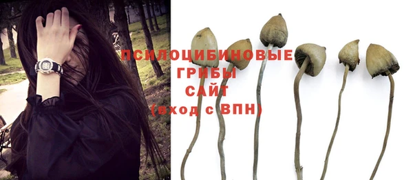 бошки Магас