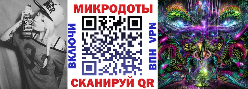 Галлюциногенные грибы Psilocybe  Купить где  Каменногорск 